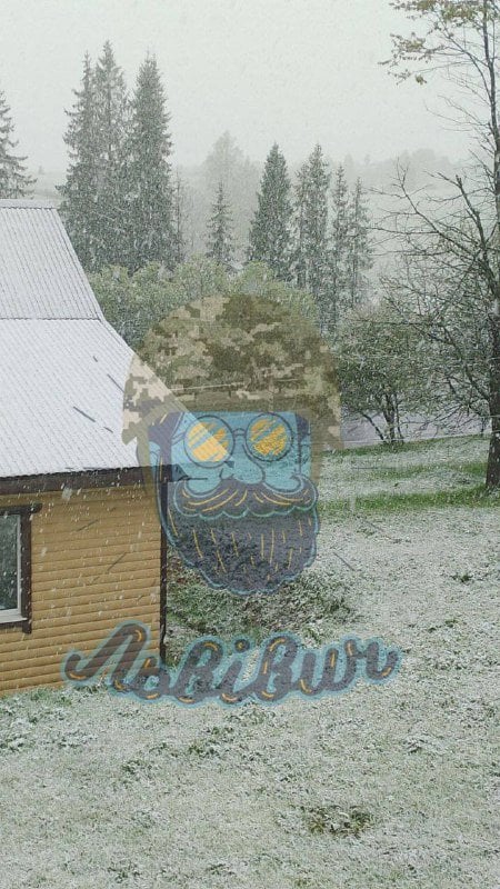 Сніг у селі Тухолька на Львівщині. Фото: телеграм-канал «Львівич»