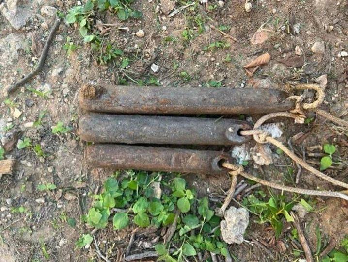 這個女人偶然發現了生鏽的金屬物體，從事園藝。