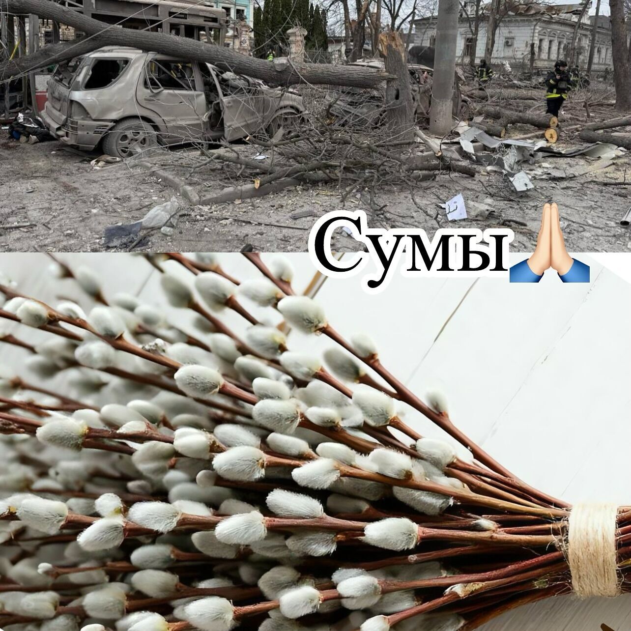 Максим Галкін відреагував на ракетний удар РФ по Сумах у Вербну неділю і довів до істерики росіян