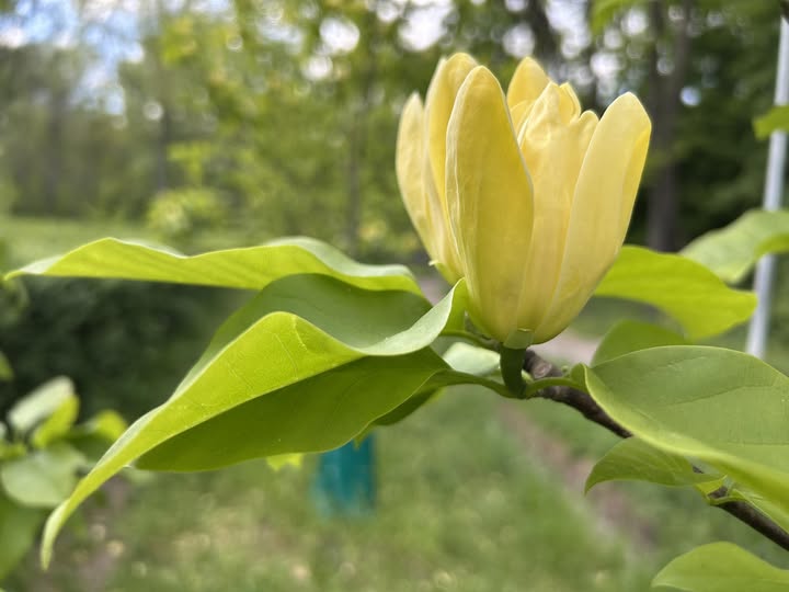 Немає опису світлини.