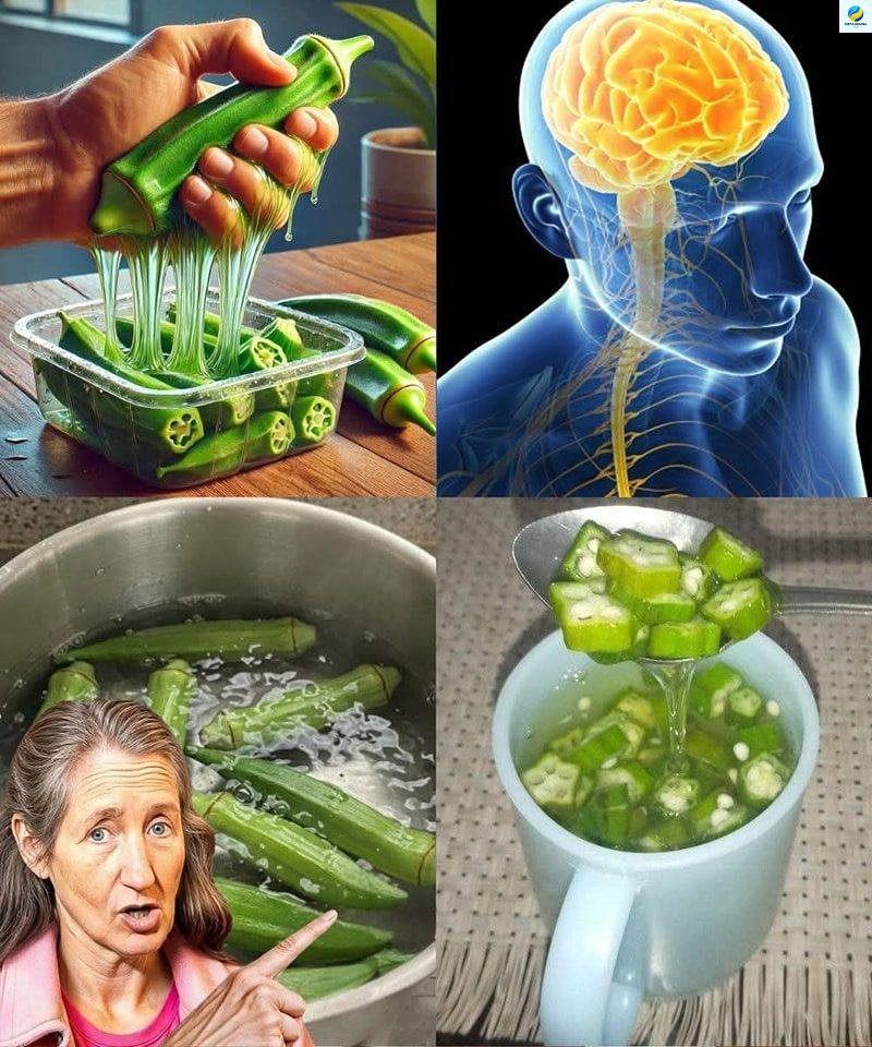OBZ：濃縮必要的營養素