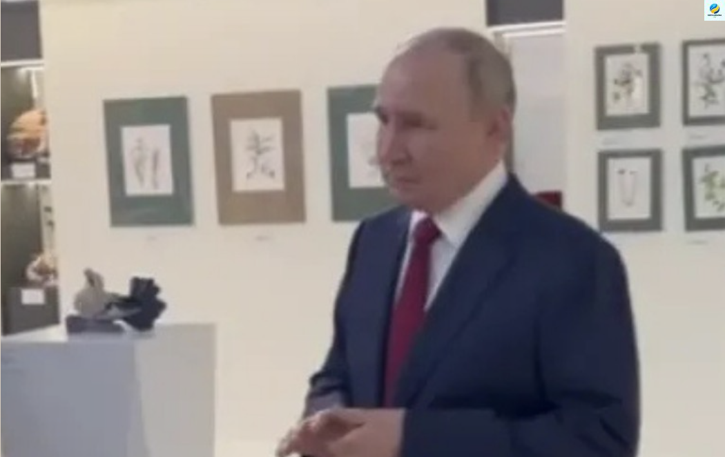 “Головне – усунути першопричини кризи” Путін зробив заяву після розмови з Трампом. ВІДЕО. Більше…